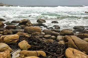 Ocean / ***