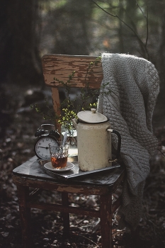 Spring / ...........................................