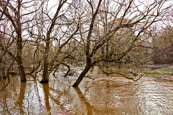 Spring tide / ***