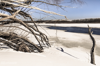 on the shore / ***