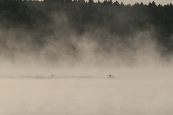 Morning Fischerei / ***