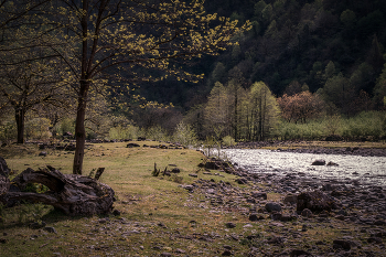 Spring in Machakhlitskali River / ***