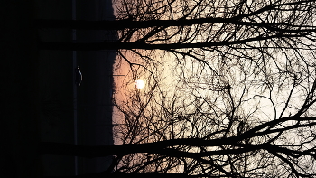 @tutstreet / Belarus