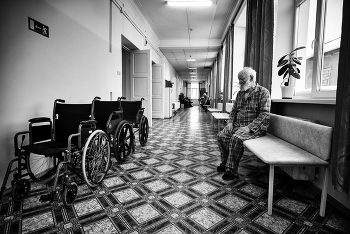 The last witnesses of the war / ***