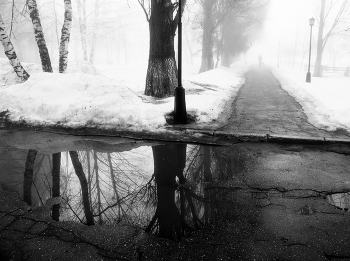 haze / ***