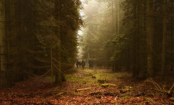 Toward the Light / ***