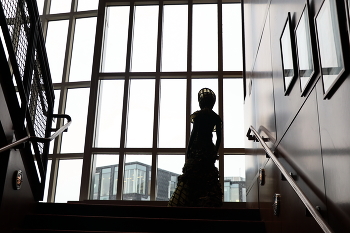Silhouette / ***