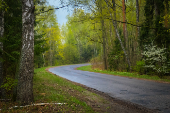 Round the bend / ***