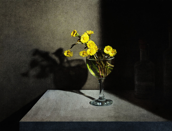 Light and shadow / ***