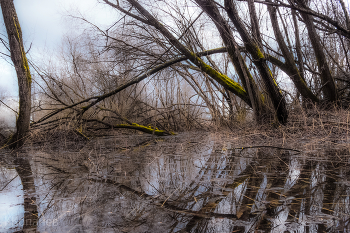 Bei Sonnenuntergang / ***