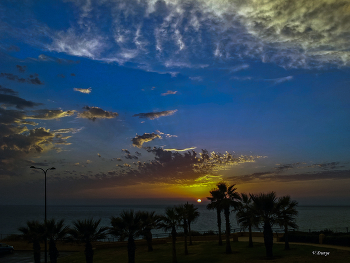 Sunset / ***