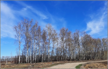 Spring mood / ***