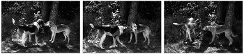 A meeting / ***