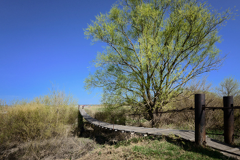 Brücke / ***