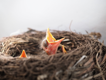 @tutstreet / @tutstreet