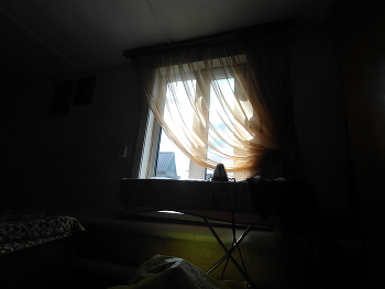 Window / ***