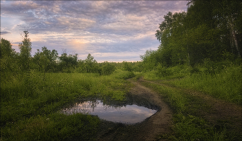 on forest roads / ***