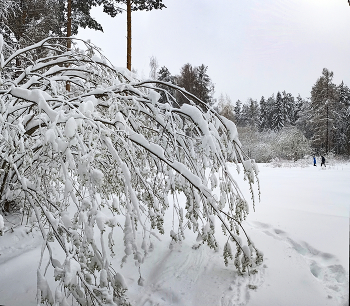 Return of winter / ***