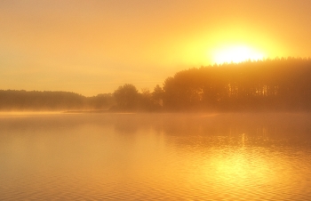Meeting dawn. / ***