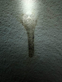 A long beard / ***