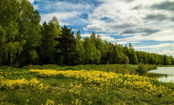 May morning / ***