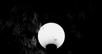 B / W / ***