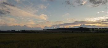 in the fields / ***