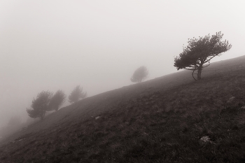 Misty / ***