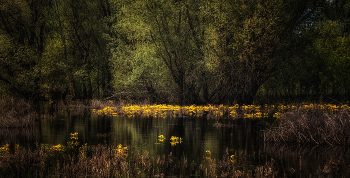 High water / ***
