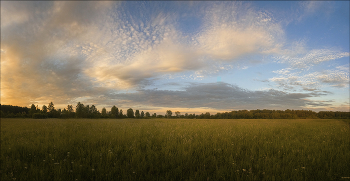 Abend auf dem Gebiet / ***