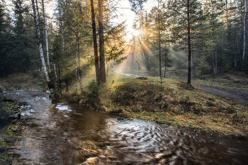 Evening Rays / ***