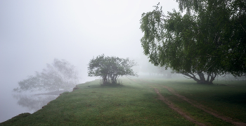 Morgennebel. / ***
