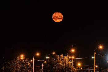 Vollmond / ***