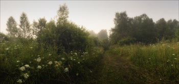 road in the fog / ***