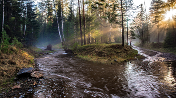 Evening panorama / ***