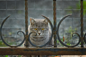 &nbsp; / https://www.youtube.com/watch?v=uqQa9XjNlv8