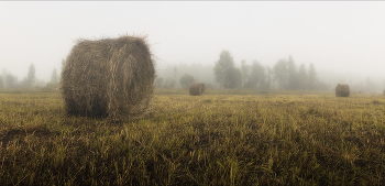 in the morning / ***