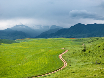 Rain in the mountains / ***