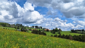  / Hornberg