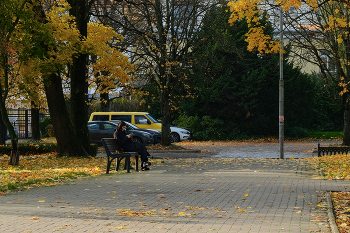 In the city park / ***