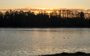 Vor Sonnenaufgang / ***