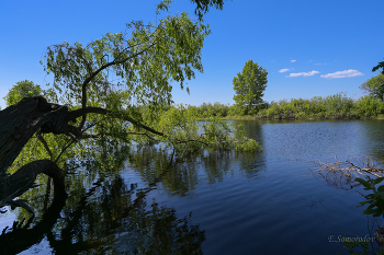 On the lake / ***
