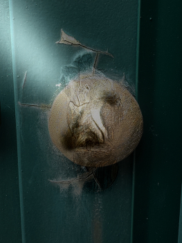 Found in the other world / Hello goodbye