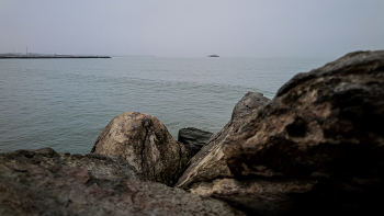 In Port / ***