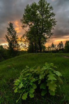 The colours of the sunset / ***