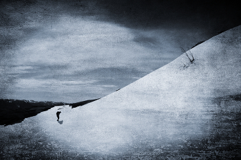 spring snow / ***