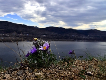On the high bank / ***