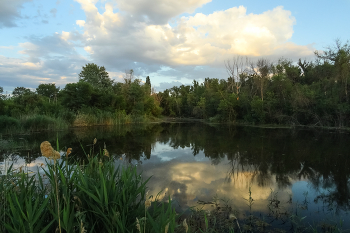 Before sunset. / ***