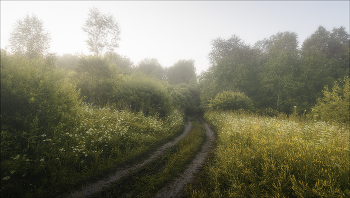 road in the fog / ***
