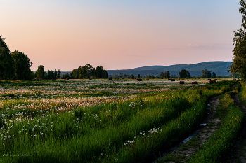 Summer evening... / ***